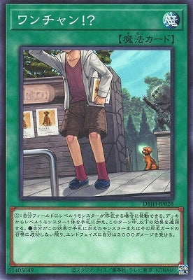 DBJH-JP028 ワンチャン!? N