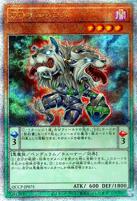 QCCP-JP075 DDオルトロス QSE