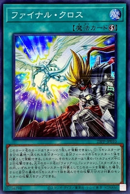 23PP-JP010 ファイナル・クロス SR