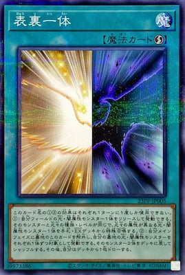 23PP-JP005 表裏一体 P-N