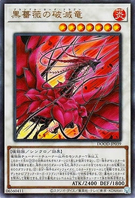 DOOD-JP039 UR 黒薔薇の破滅竜