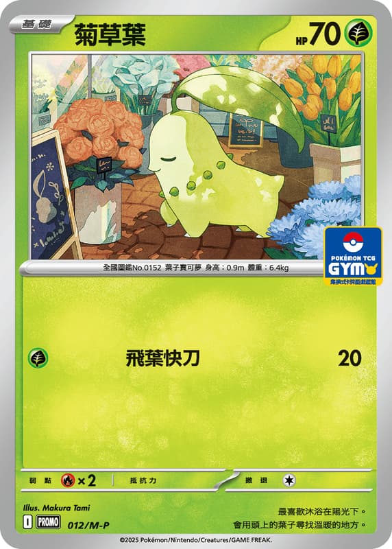 PROMO 012/M-P 菊草葉