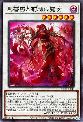 DOOD-JP040 SR 黒薔薇と荊棘の魔女