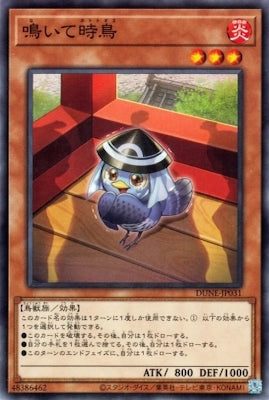 DUNE-JP031 鳴いて時鳥 NR