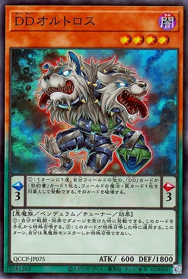 QCCP-JP075 DDオルトロス SR