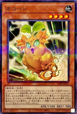 23PP-JP011 ネコーン P-N