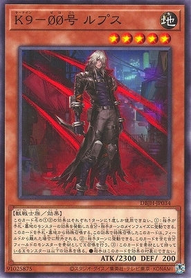 DBJH-JP034 K9-ØØ号 ルプス N
