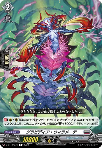 D-BT12/075 C グラビディア・ウィラメーテ