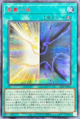 23PP-JP005 表裏一体 SE-Red