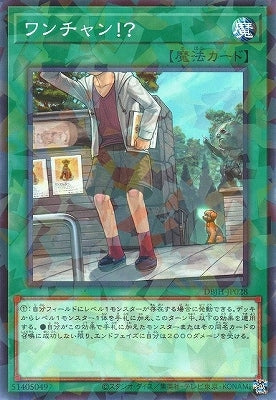 DBJH-JP028 ワンチャン!? P-N