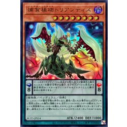 BLZD-JPS14 UR 捕食植物トリアンティス