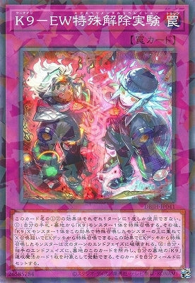 DBJH-JP041 K9-EW特殊解除実験 P-N