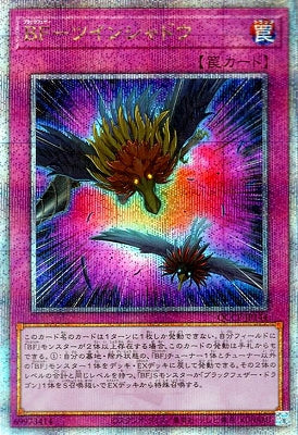 QCCP-JP144 BF-ツインシャドウ QSE