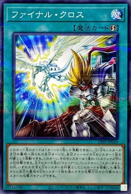 23PP-JP010 ファイナル・クロス P-N