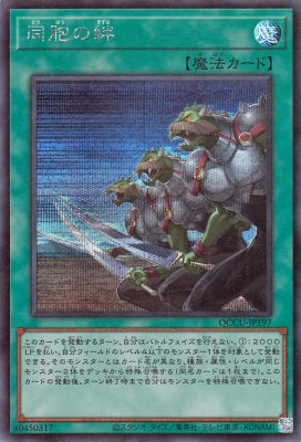 QCCU-JP197 同胞の絆 SE