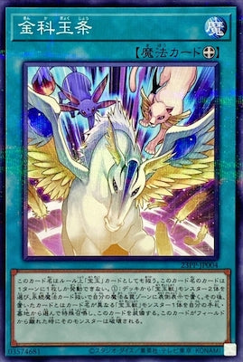 23PP-JP004 金科玉条 P-N