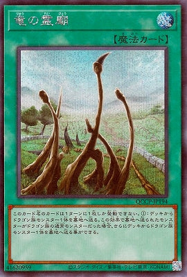 QCCP-JP194 竜の霊廟 SE