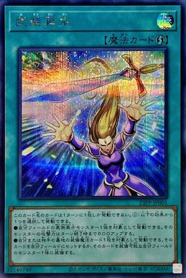 23PP-JP001 武装再生 SE