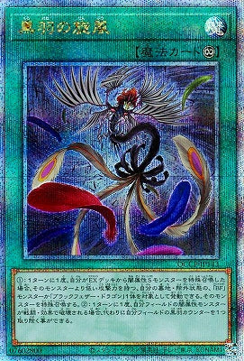 QCCP-JP143 黒羽の旋風 QSE