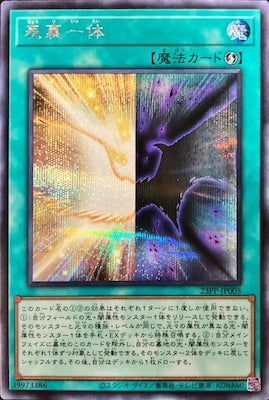 23PP-JP005 表裏一体 SE