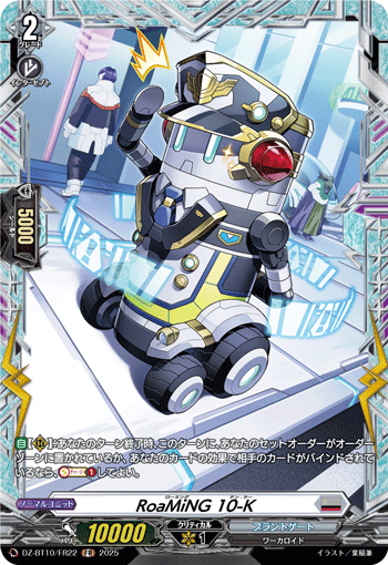 DZ-BT10/FR22 FR RoaMiNG 10-K