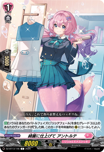 DZ-BT13/146 C 綺麗に仕上げて アントルテ