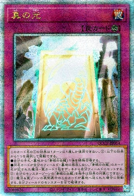 QCCP-JP014 真の光 QSE