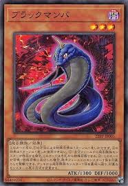 22PP-JP005 SR ブラックマンバ