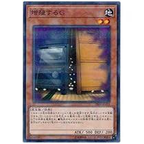 SR09-JP018 P-N 増殖するG