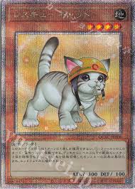 QCAC-JP006 QCSE レスキューキャット(イラスト違い版)