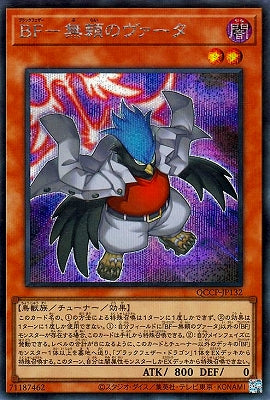 QCCP-JP132 BF-無頼のヴァータ SE