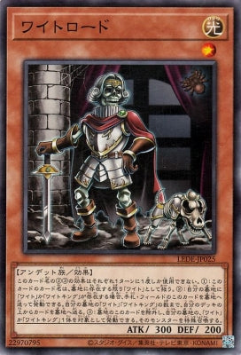 LEDE-JP025 ワイトロード N