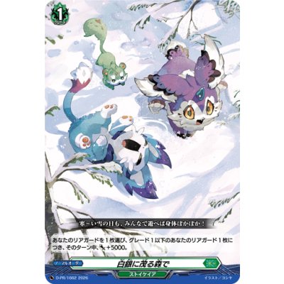D-PR/1663 PR 白銀に茂る森で(H仕様)