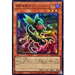 BLZD-JPS10 UR 捕食植物オフリス・スコーピオ