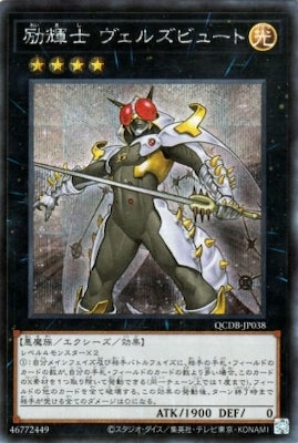 QCDB-JP038 励輝士 ヴェルズビュート SE