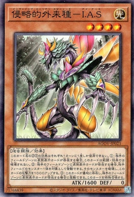 AGOV-JP023 侵略的外来種-I.A.S N