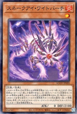 AGOV-JP009 スネークアイ・ワイトバーチ N