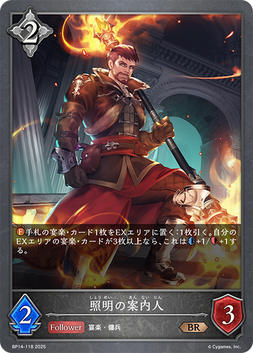 BP14-118 照明の案内人 BR