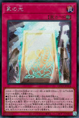 QCCP-JP014 真の光 SE