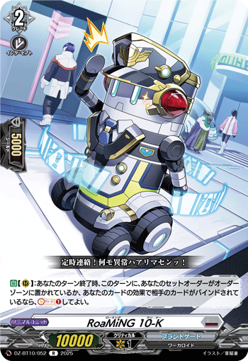 DZ-BT10/052 R RoaMiNG 10-K