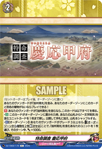 DZ-TB02/170 C 特命調査 慶応甲府