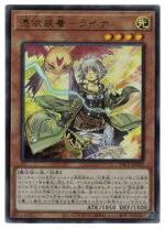 PAC1-JP033 SE 憑依装着-ライナ